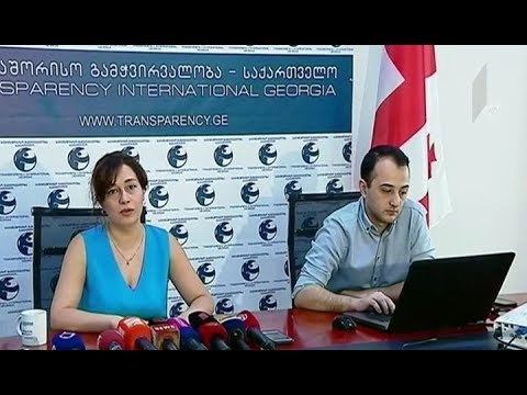 საქართველოს პარლამენტის საქმიანობის შეფასება
