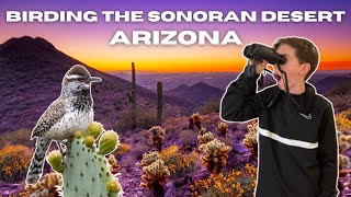 Birding the Sonoran Desert in Arizona