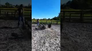 Horses riding fail Bareback￼ 🐴🤣￼