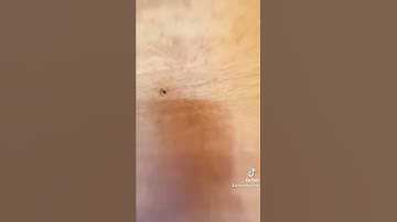 Skoolie Puck Lights In Cedar Tongue n Groove🛠✨ #shorts #buslife #tinyhome #vanlife #beforeandafter