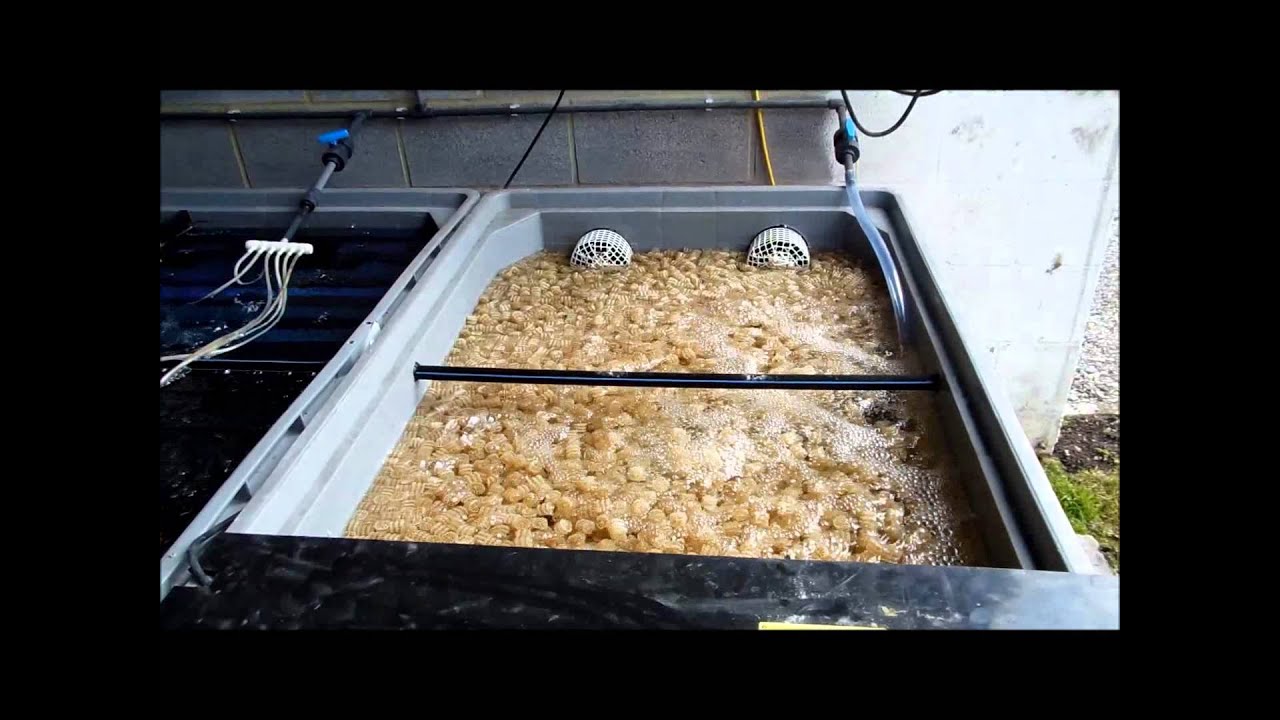 Ma nouvelle filtration YouTube