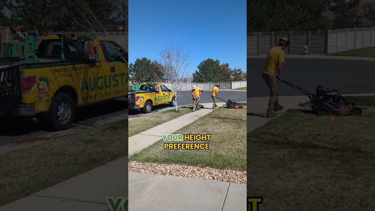 What Happens When Augusta Mows Your Lawn...  #augustalawncare