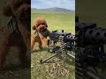 My Dog Knows How to Use a Machine Gun! #funny #ai#dog