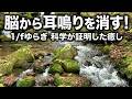 【耳鳴り治療音】自律神経を整え脳が熟睡できる音 耳鳴り 不眠 ストレス