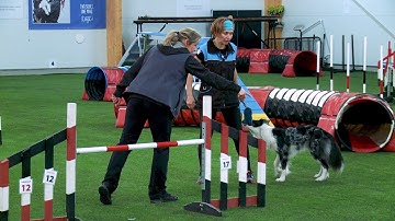 International Agility Training Week - Moving Into The Forced Front Cross - preview