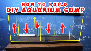 How To Build DIY Aquarium Sump Filtration