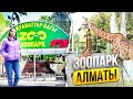 🇰🇿 Прогулка по Алматинскому Зоопарку | Центральный Парк в Алматы | Зелёный рынок, цены на продукты