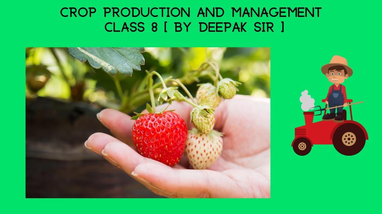 Crop Production and Management Chapter 1 Class 8 Science Free Online
