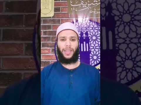 هل المقصود الكائنات الفضائيه أو الرماديين محمد الخزرجي