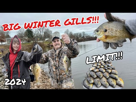 SMALL BAITS for BIG WINTER BLUEGILLS!!! - Shore Fishing in Western NY  (February 2024) 