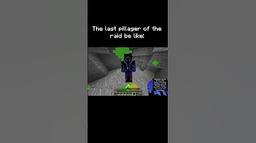 Pov: You are the last pillager of the raid #shorts #minecraft