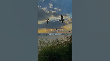 سورة النجم | القارئ ناصر القطامي