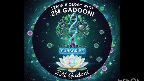 WhatsApp Video 2025 11 13 at 08 08 58 f66454a5