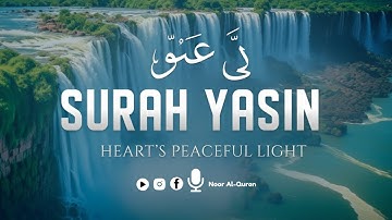 Surah Yasin (Yaseen) for Healing | Relieve Stress, Depression & Anxiety | سورة يس | Noor Al-Quran