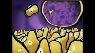 BBC Kids 2004   Red & Purple Crowd Bumpers in Deformed