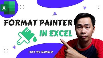 Advance Format Painter in Excel with Multiple Times