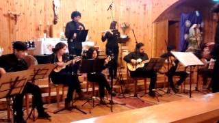 Grupo Instrumental Ped. en Artes - Eleanor Rigby