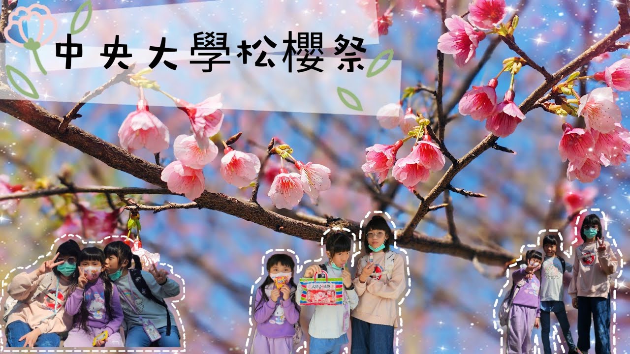 🌸中央大學櫻花開・賞櫻迎年假🌸