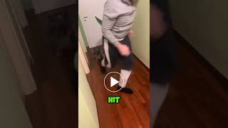 Ranking the Best Funny Animals Fails Moments