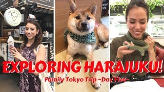 Exploring Harajuku! | Shiba Dog Cafe, Tokyo Snake Center, Crepes, &amp; More!