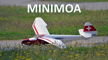 MINIMOA RC - from Hobbyking? 😅