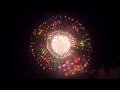 2014 Huge Shells Collection in Japan
