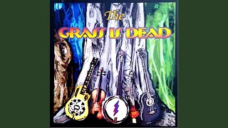 Video thumbnail of "The Grass Is Dead - He's Gone"