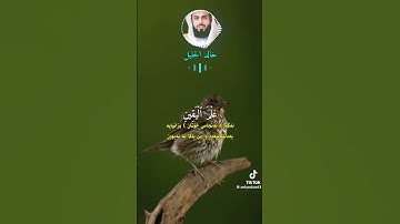 سورة التكاثر بصوت الشيخ خالد الجليل القران الكريم تلاوة تذكر الإنسان في الآخرة 👉🏼👉🏼👉🏼👉🏼