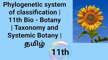 Phylogenetic system of classification | 11th Bio - Botany | Taxonomy and Systemic Botany |  தமிழ்