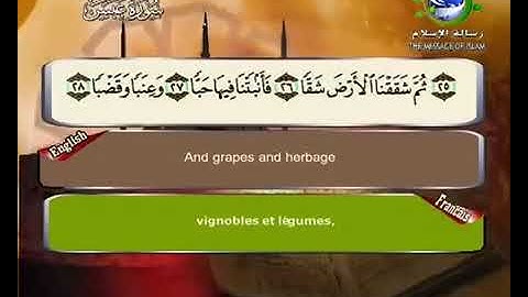 80 -  سورة عبس بصوت الشيخ سعد الغامدي