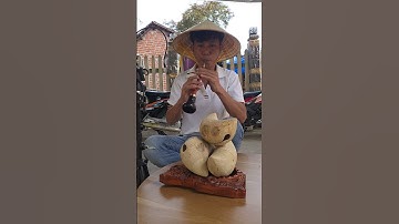 Mỏ Nhạc Cụ..Lh đặc hàng 0914041973 #trilamnong