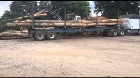 Time Lapse Appalachian Walnut Co. LLC Tree Length Unloading