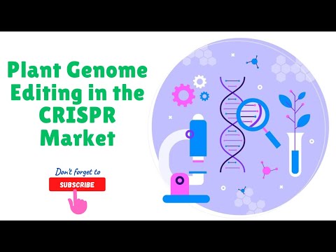 Plant Genome Editing in the CRISPR Market