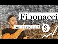 FIBONACCI 1 0