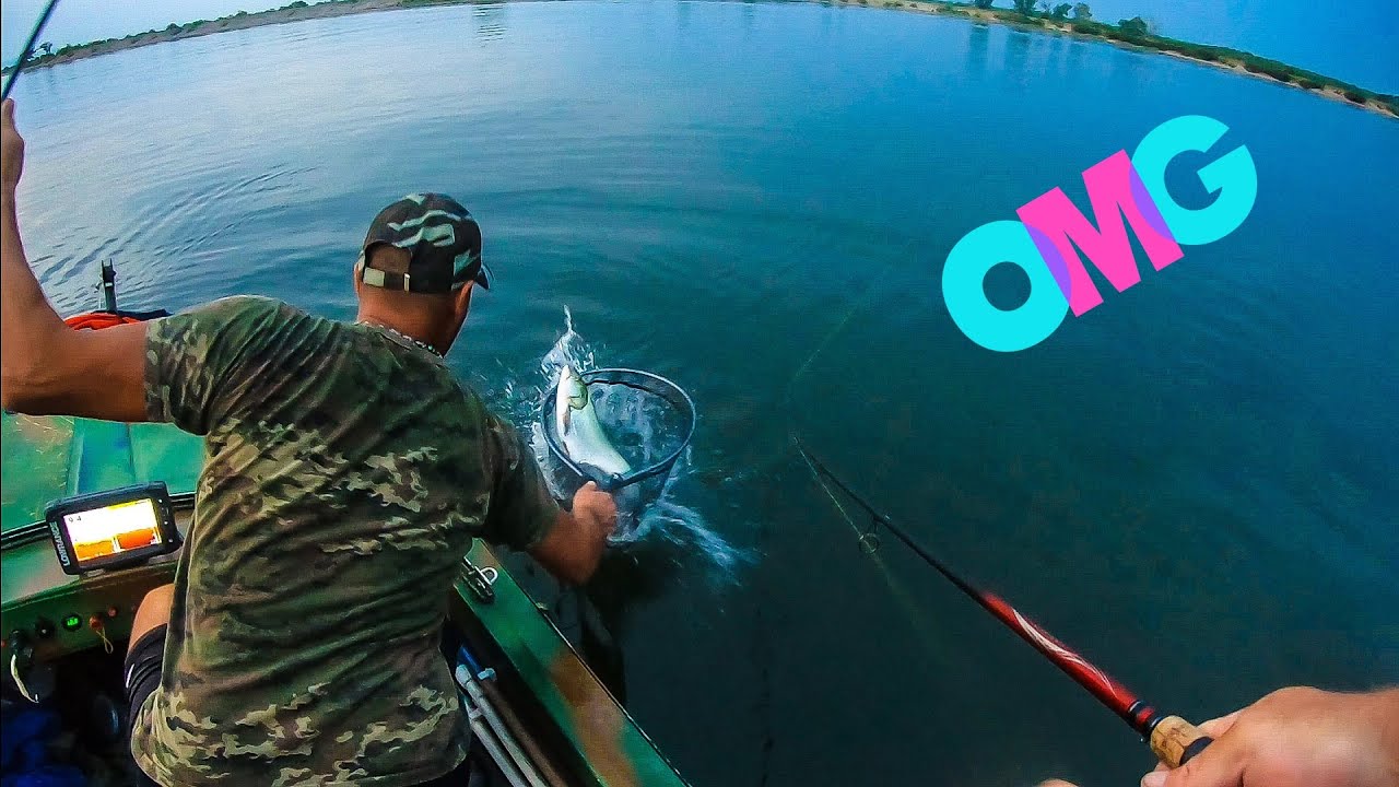 Cum sa prinzi 50 kg de avat in 2 ore . Pescuit de viteza. La spinning pe Dunare .Part 2. Asp fishing