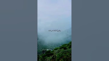 سورة آل عمران 🤍. #quran #ألابذكر_الله_تطمئن_القلوب #ارح_قلبك #ارح_سمعك #تلاوة_هادئة