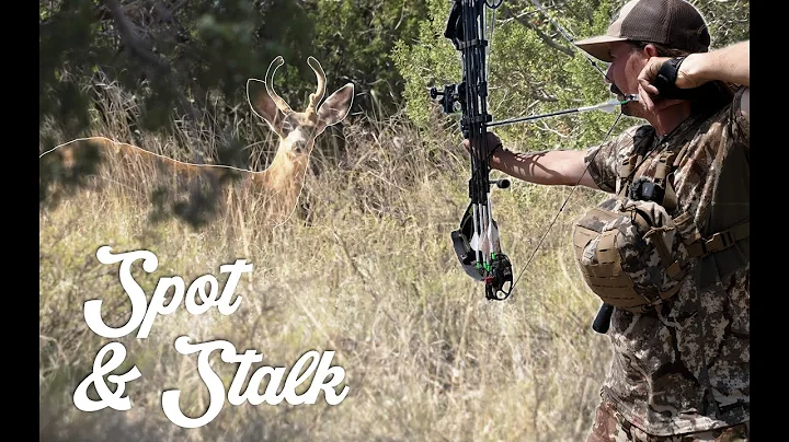 New Mexico Public Land Mule Deer | Bucks Everywhere!