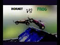 Tamiya Hornet VS Frog Vintage r/c