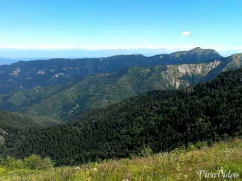 ტიმოთესუბანი timotesubani