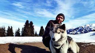 Зимняя прогулка на Кок Жайляу//Light winter hiking to Kok Zhailau plateau