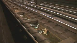 NYC seeks applicants for new Director of Rodent Mitigation