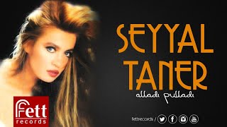 Seyyal Taner - Alladı Pulladı