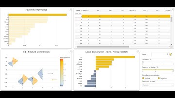 XGBoost Web App Demo with Shapash Python Library