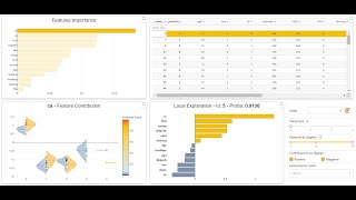 XGBoost Web App Demo with Shapash Python Library