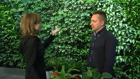 Co je vertikální zahrada?