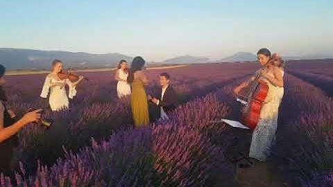 Aquarius Strings - All Of Me