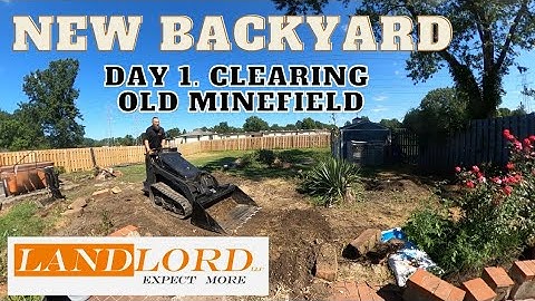 DAY 1. New backyard, old minefield. Clearing area, leveling yard with bobcat mt55 land planner