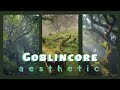 🐸✨Goblincore tik tok  🐸✨|find your asthetic