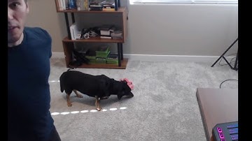 jerma making noises a human shouldn