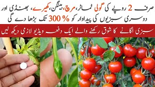 A Tablet of Rs.2 will increase the production upto 300% of Tomatoes,Peppers and other vegetables